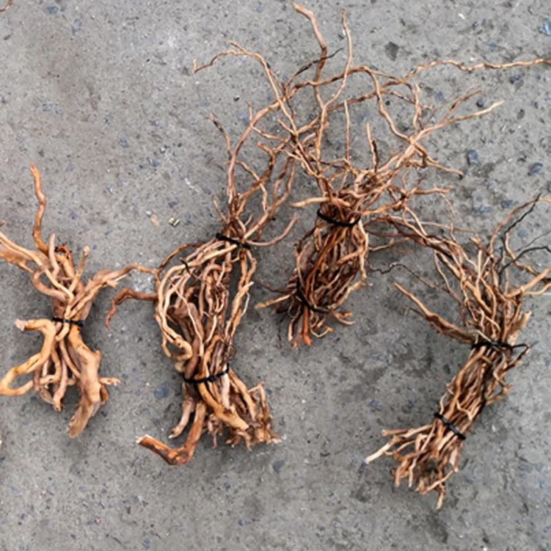 Aquarium Fish And Supplies - Natural Driftwood Root Trunk Tree for