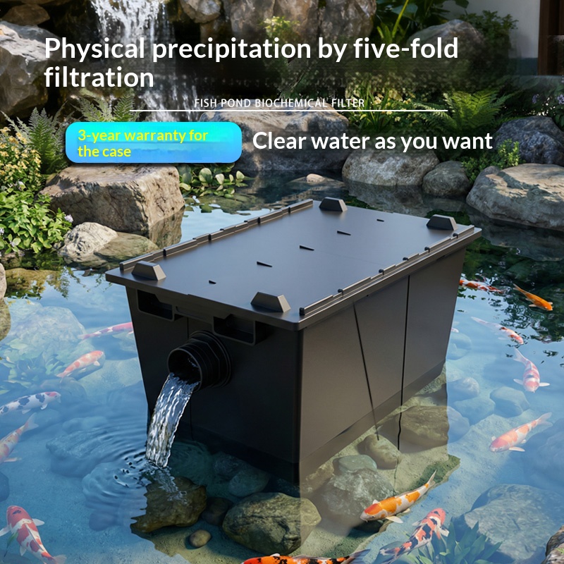 Aquarium Fish Koi - Aquarium, fish pond, square plastic filtration