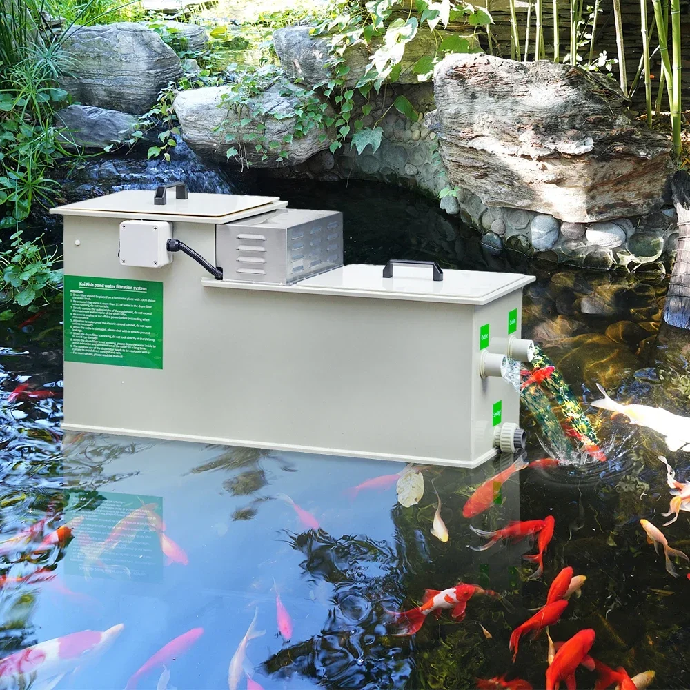 Aquarium Fish Koi - Qlozone Aquaculture Aquarium Small Koi Pond