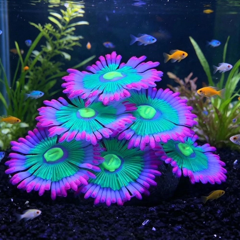 Aquarium Fish Tank Price - Glowing Soft Aquarium Fish Tank Decorations