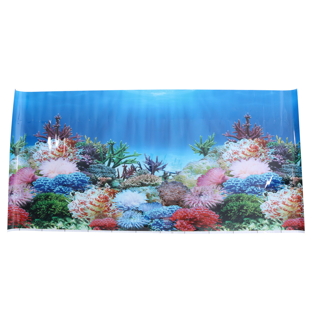 3 D Wallpaper Aquarium Picture - Fish In Aquarium Picture recension och pris