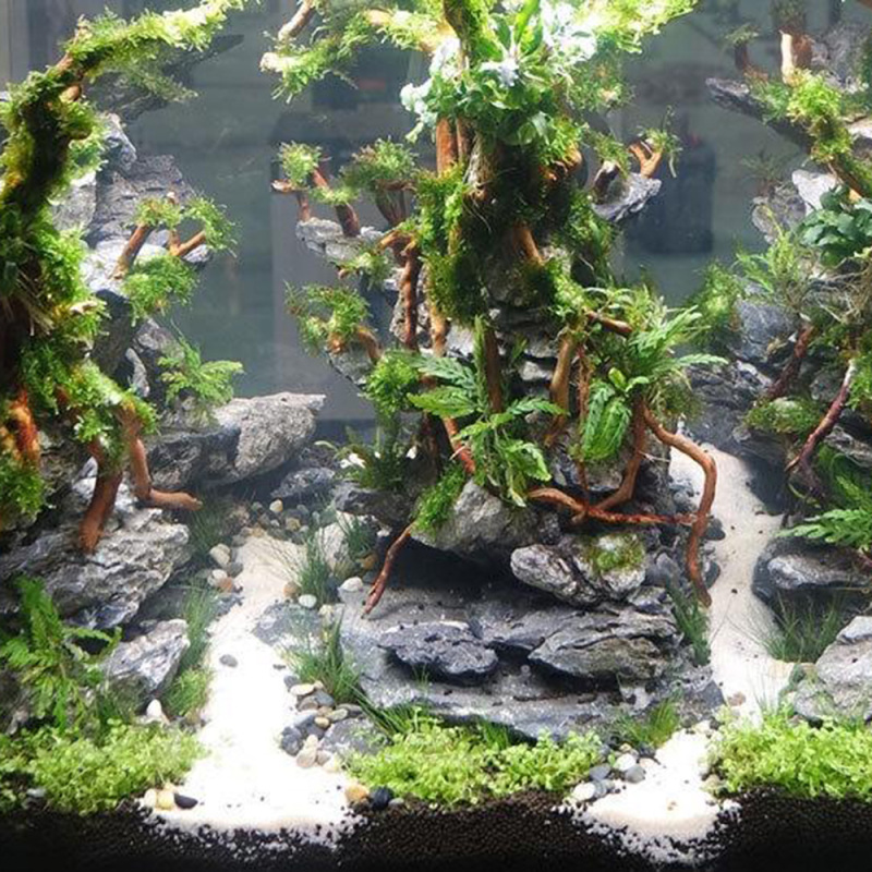 Natural Driftwood Root Trunk T - Aquarium Fish And Supplies recension och pris