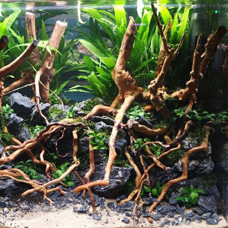Natural Driftwood Root Trunk T - Aquarium Fish And Supplies recension och pris