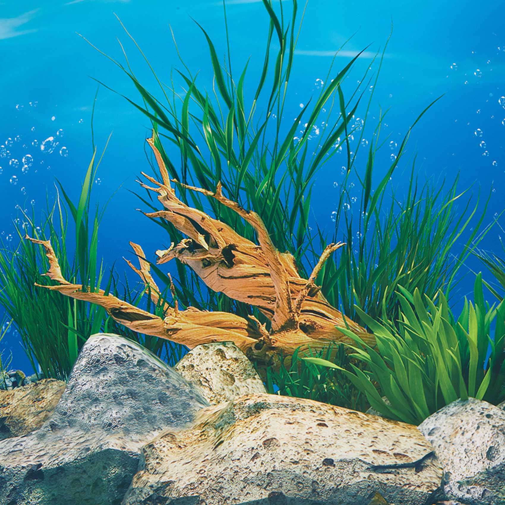 ABWR-Aquarium Background Paper - Fish In Aquarium Picture recension och pris