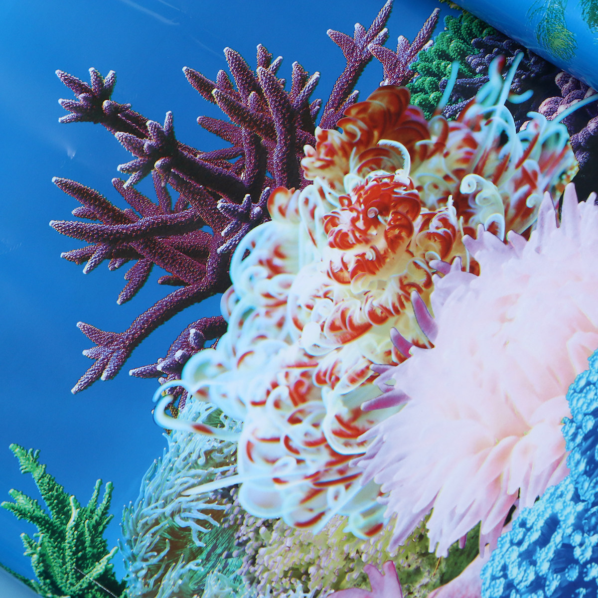 3 D Wallpaper Backgrounds for  - Fish In Aquarium Picture recension och pris
