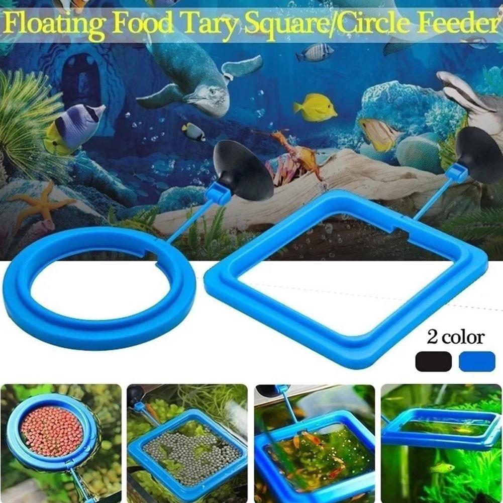 Fish Feeding Ring Feeder Fishi - Tetra Fish In Aquarium recension och pris