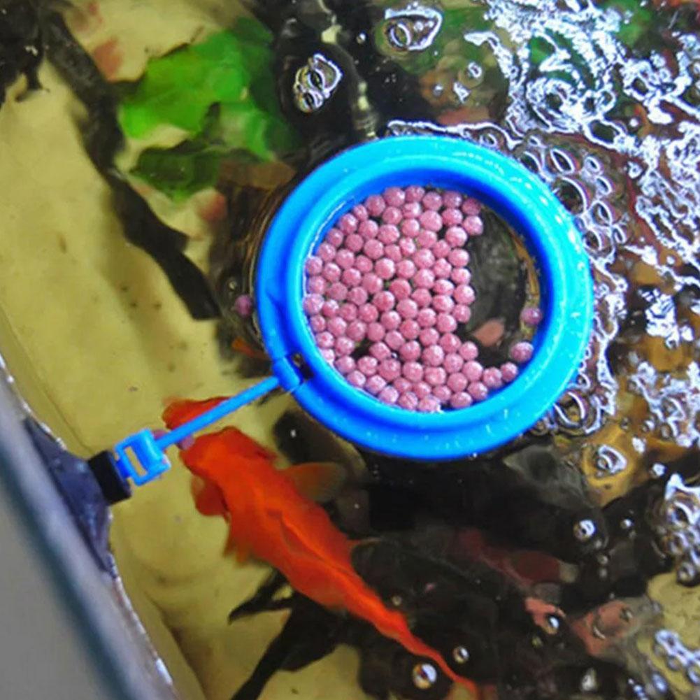 Fish Feeding Ring Feeder Fishi - Tetra Fish In Aquarium recension och pris
