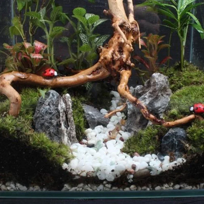 Natural Tree Trunk Driftwood A - Aquarium Fish Tank Price recension och pris