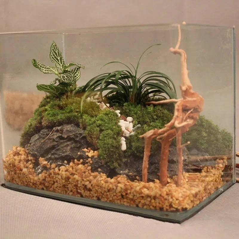 Natural Tree Trunk Driftwood A - Aquarium Fish Tank Price recension och pris