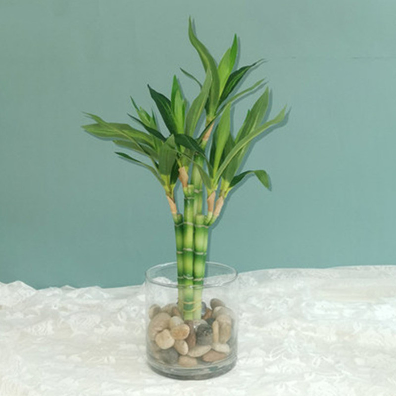 New 40cm Artificial Lucky Bamb - Aquarium Fish Farm recension och pris