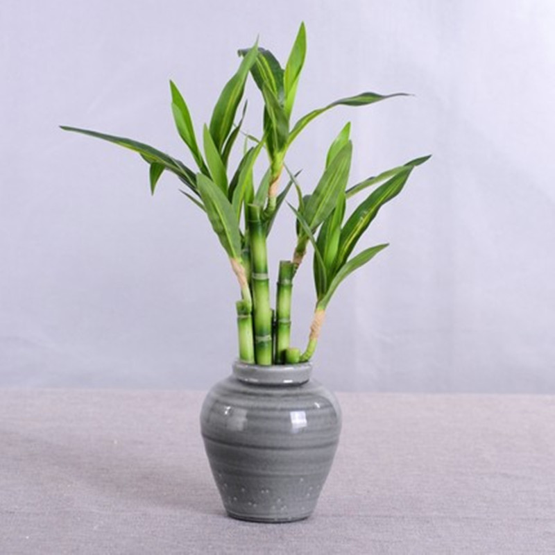 New 40cm Artificial Lucky Bamb - Aquarium Fish Farm recension och pris