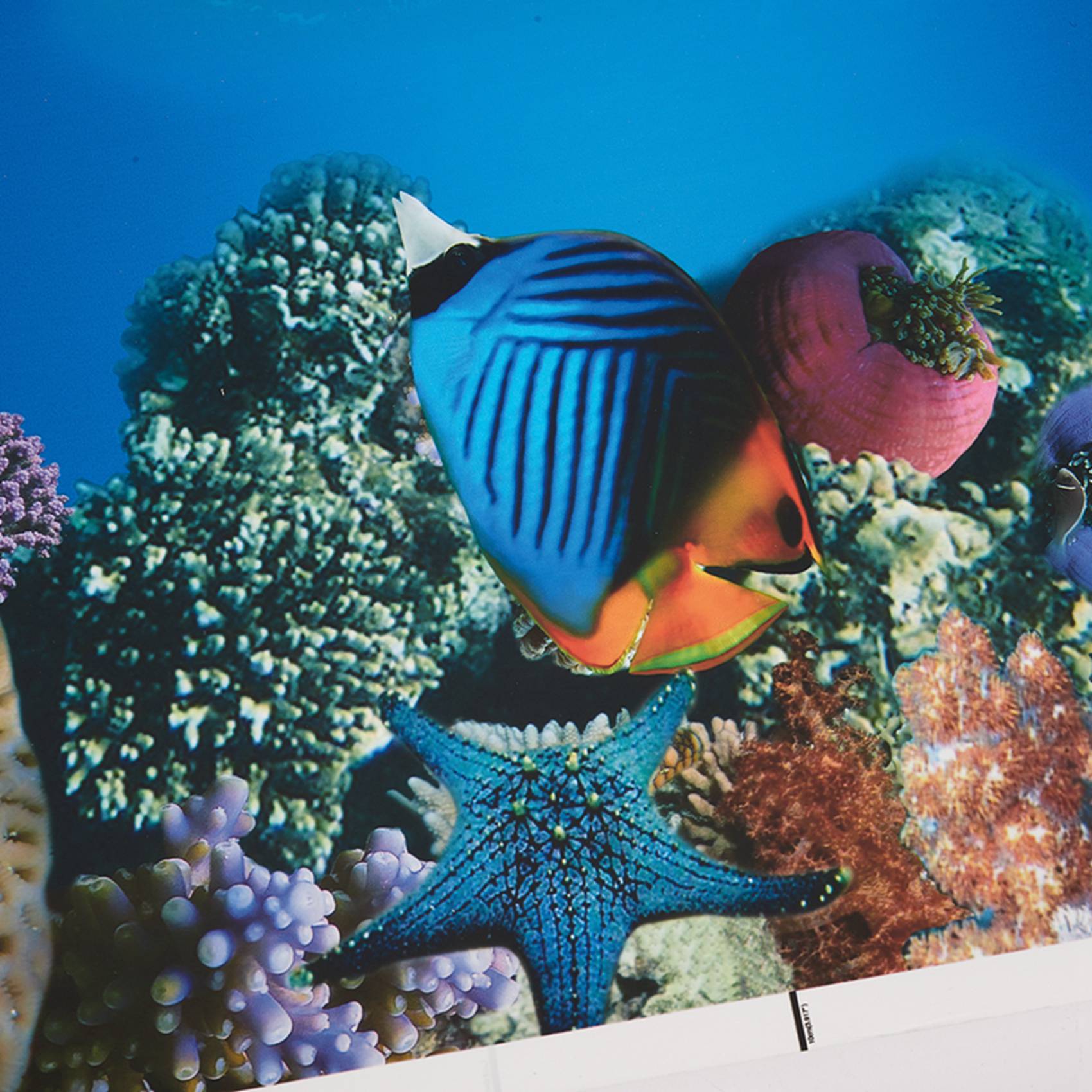 A77I Aquarium Background Paper - Fish In Aquarium Picture recension och pris