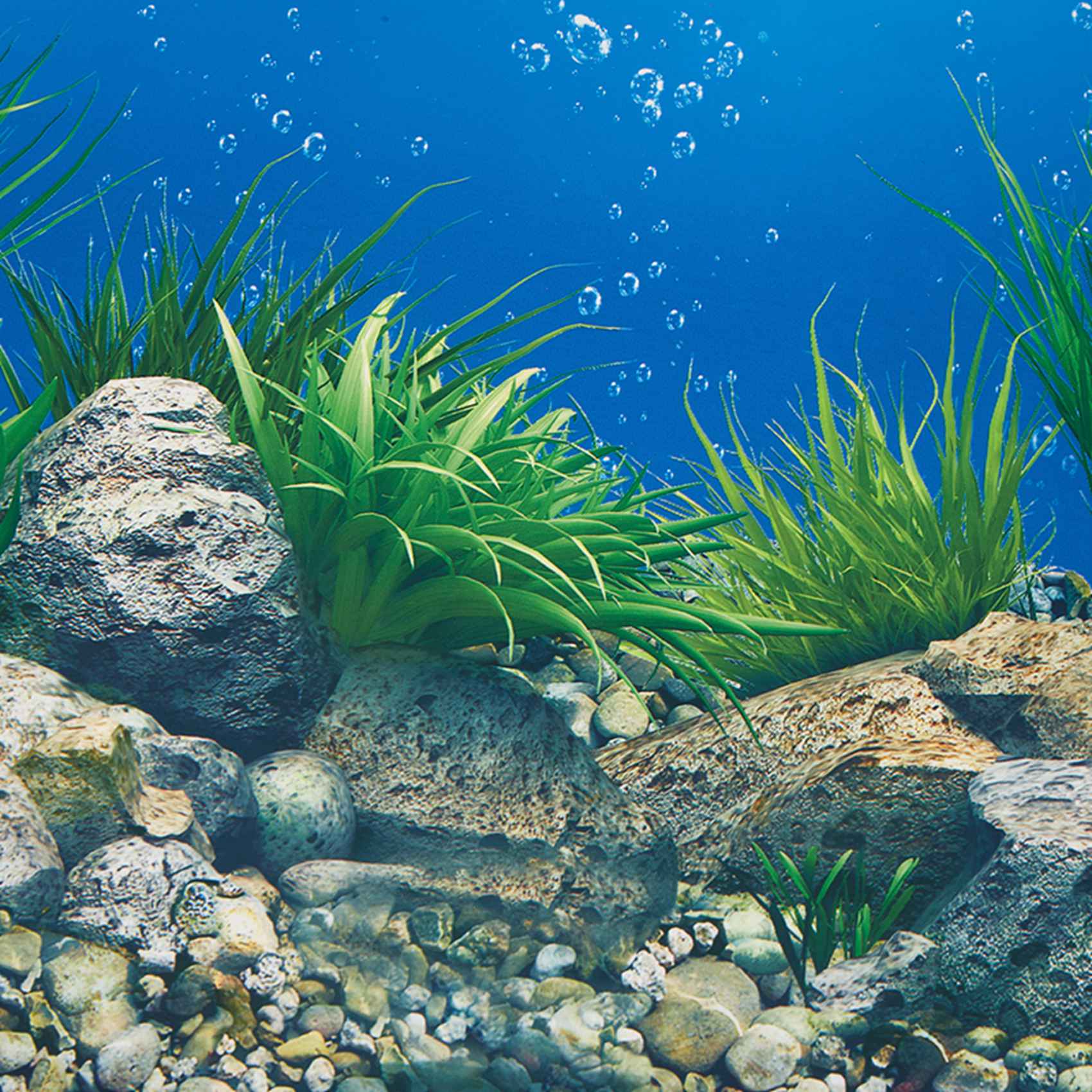 A77I Aquarium Background Paper - Fish In Aquarium Picture recension och pris