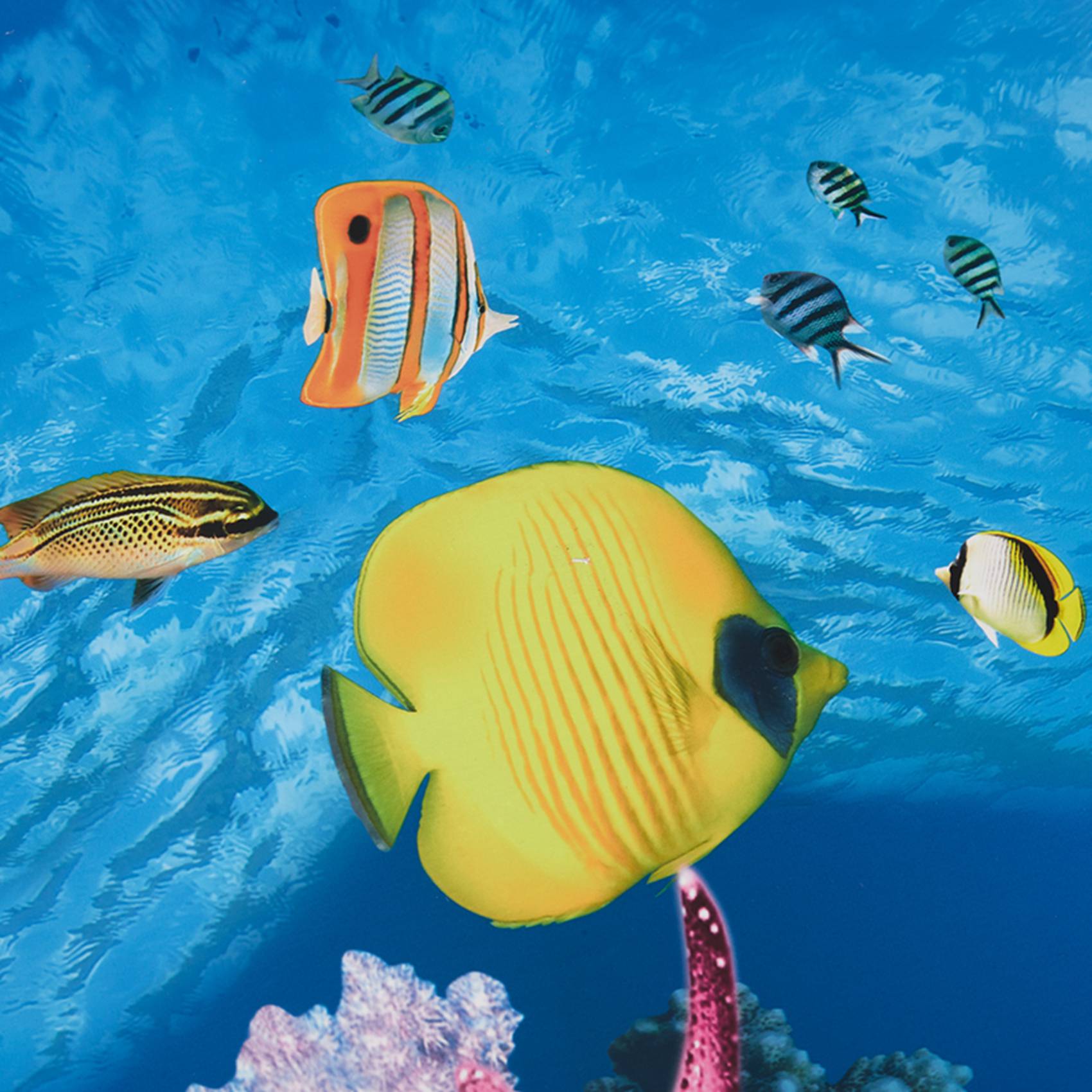 A77I Aquarium Background Paper - Fish In Aquarium Picture recension och pris