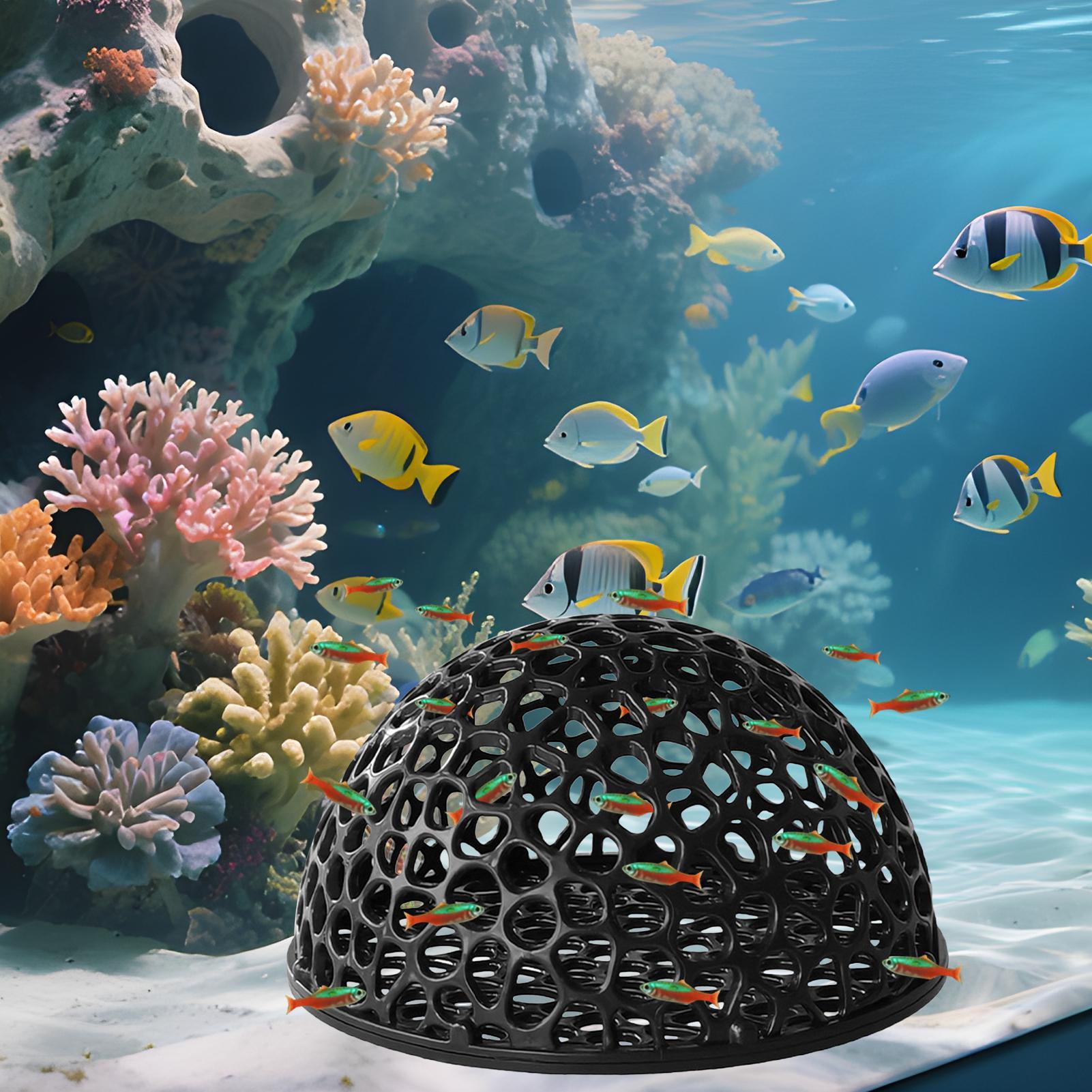 Aquarium Hiden Cave Shelter fo - Aquarium Fish Cave recension och pris