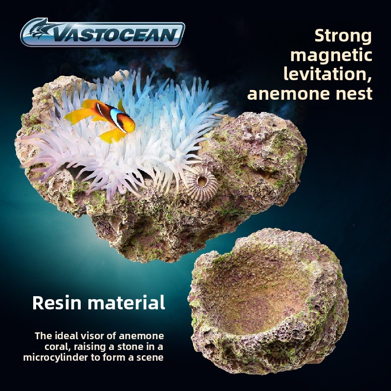VASTOCEAN Magnetic Anemone Hol - Aquarium Fish Cave recension och pris
