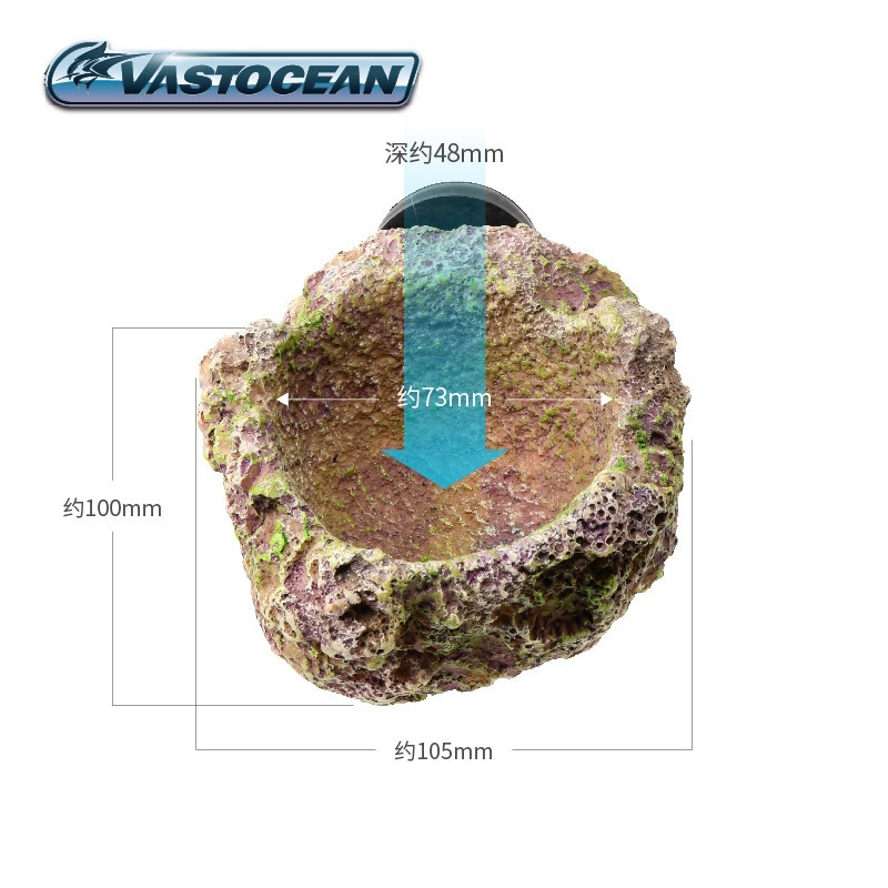VASTOCEAN Magnetic Anemone Hol - Aquarium Fish Cave recension och pris