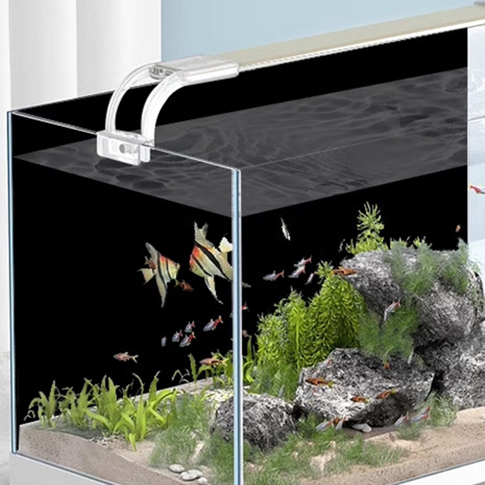 Fish Tank BackgroundSticker Bl - Aquarium Fish Black recension och pris