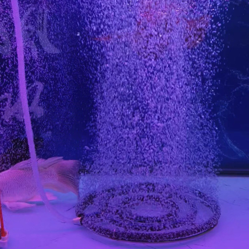 304 Stainless Steel Nano Oxyge - Aquarium Fish Koi recension och pris