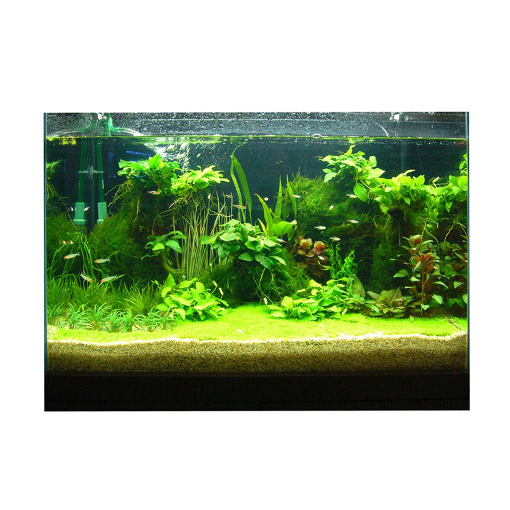 Fish Tank 3D Background Sticke - Fish In Aquarium Picture recension och pris