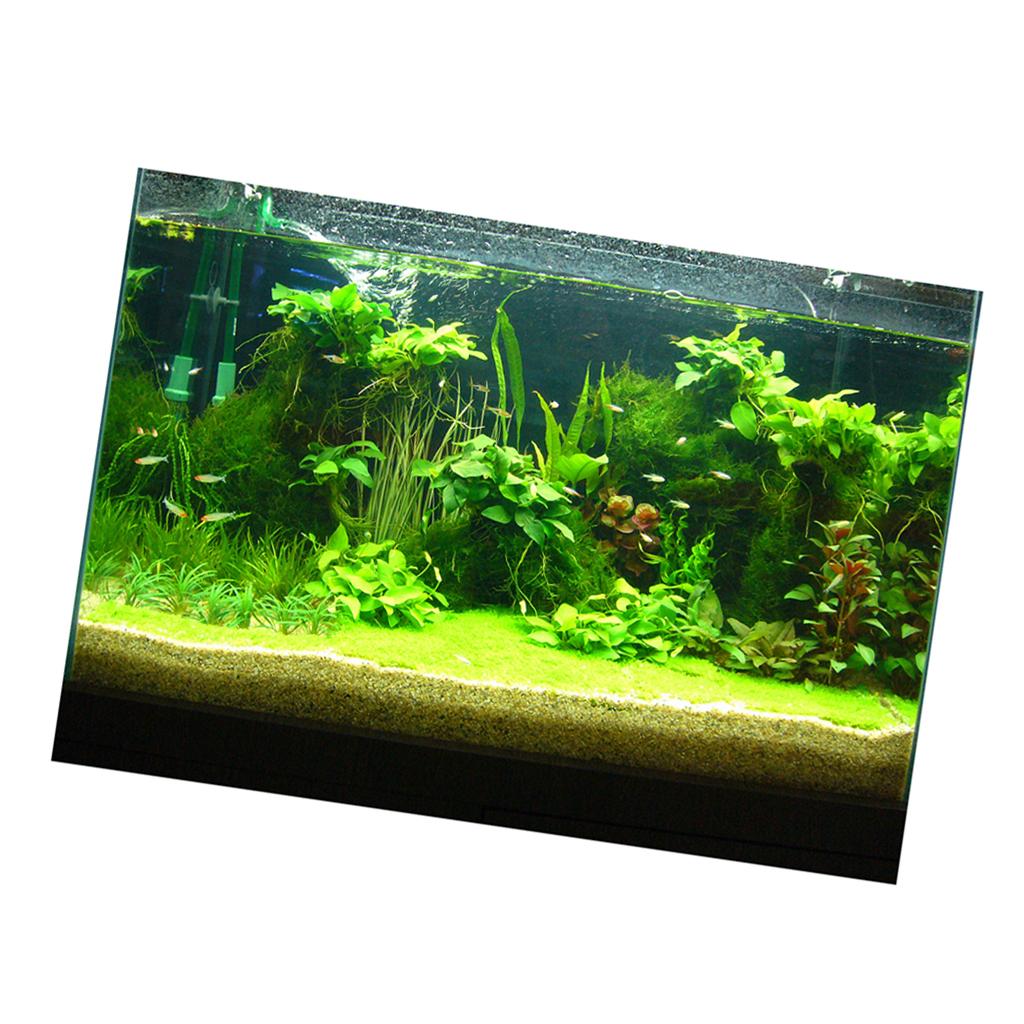 Fish Tank 3D Background Sticke - Fish In Aquarium Picture recension och pris
