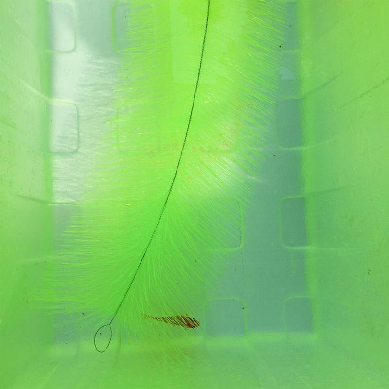 Breeding Grass for Koi Fish Eg - Aquarium Fish Farm recension och pris