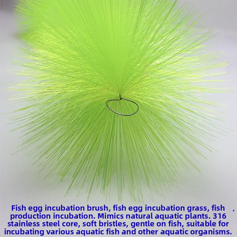 Breeding Grass for Koi Fish Eg - Aquarium Fish Farm recension och pris