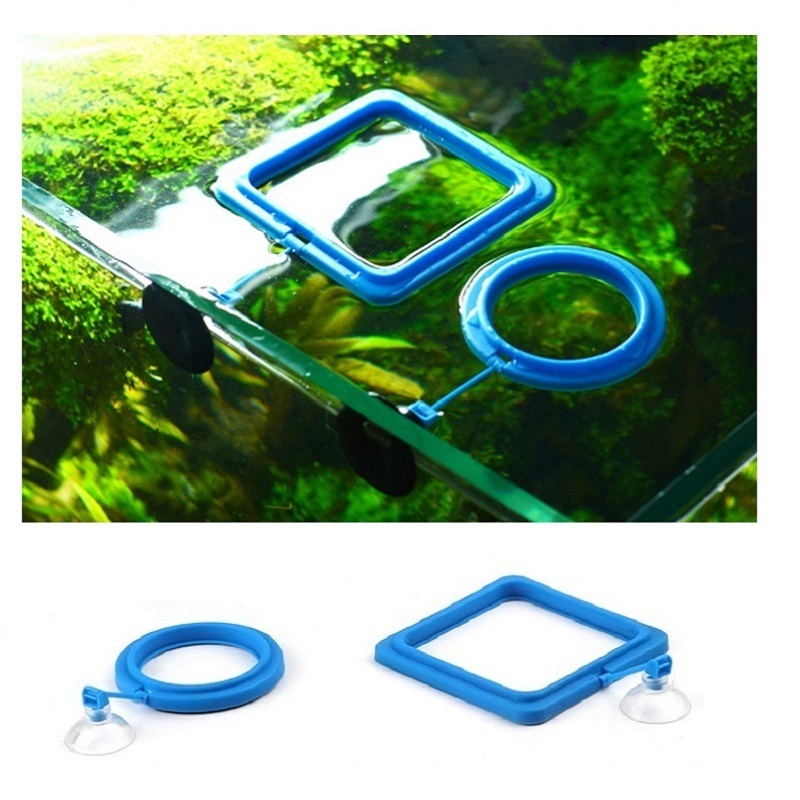 Fish Feeding Ring Feeder Fishi - Tetra Fish In Aquarium recension och pris