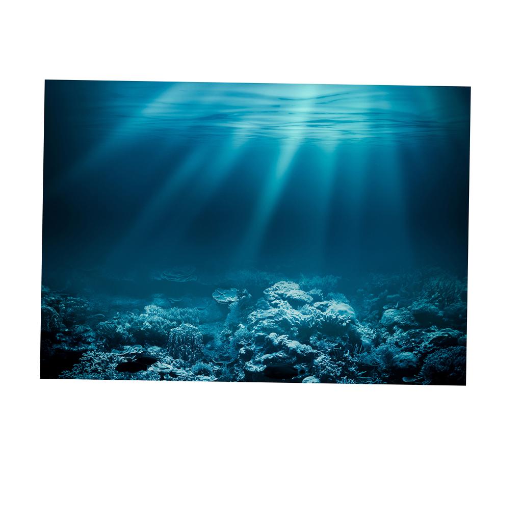 Fish Tank Adhesive Poster PVC  - Fish In Aquarium Picture recension och pris