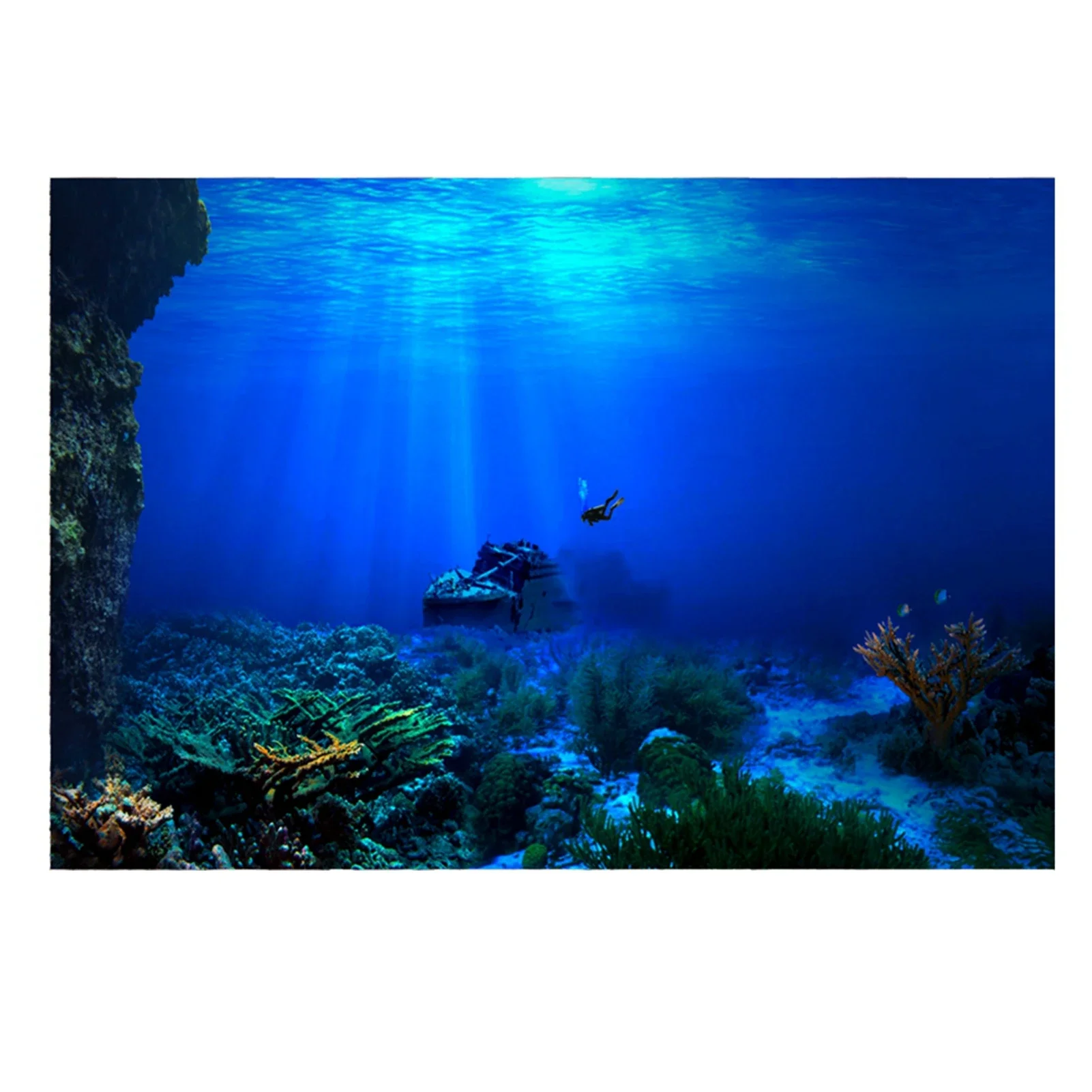 Rainforest Aquarium Background - Fish In Aquarium Picture recension och pris