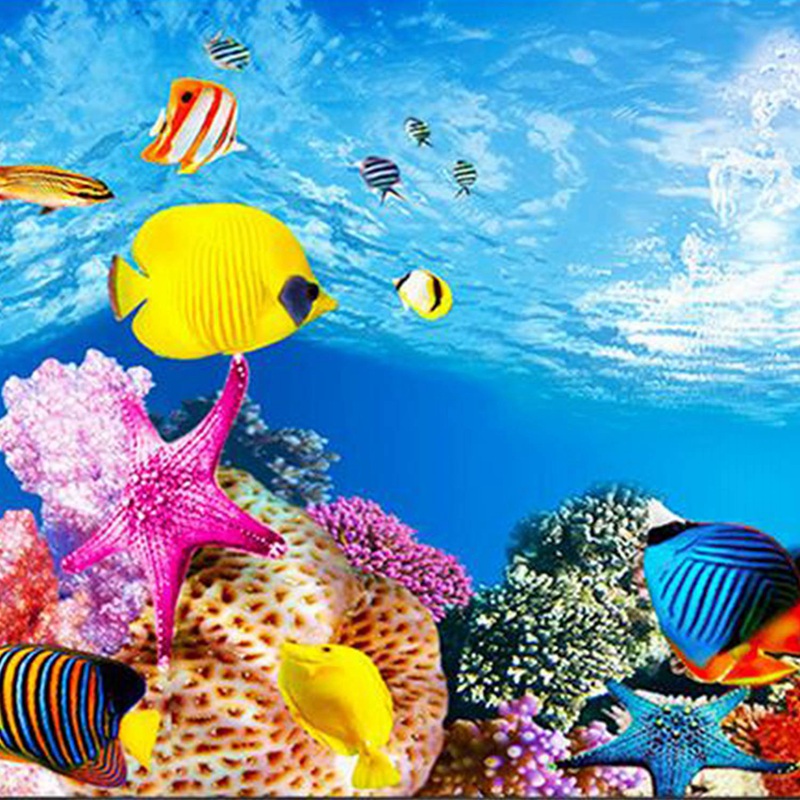 BAAU Aquarium Background Paper - Fish In Aquarium Picture recension och pris