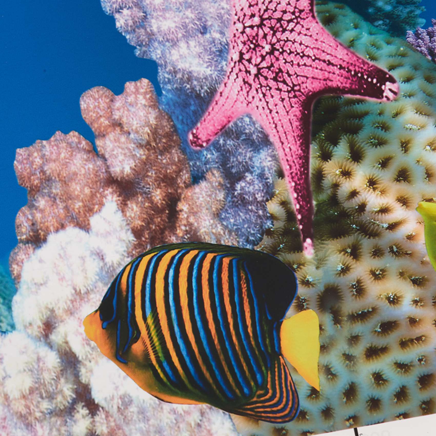 BAAU Aquarium Background Paper - Fish In Aquarium Picture recension och pris