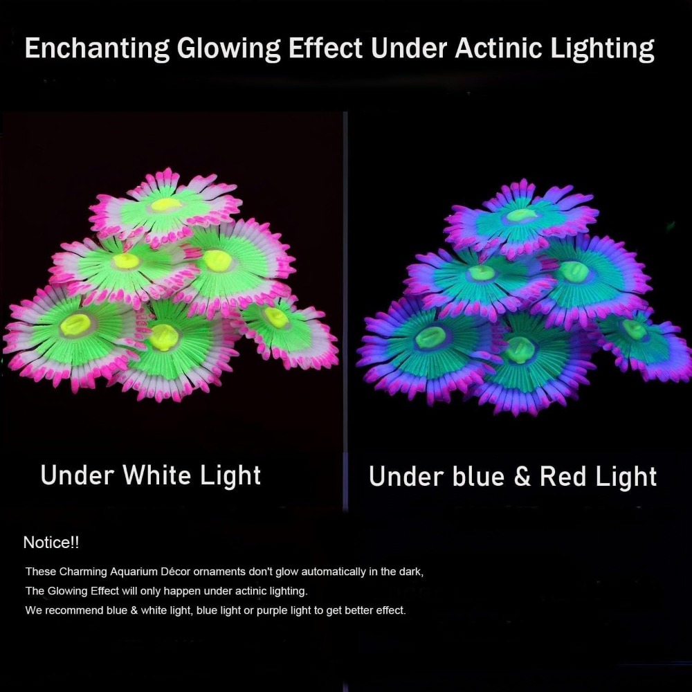 Glowing Soft Aquarium Fish Tan - Aquarium Fish Tank Price recension och pris