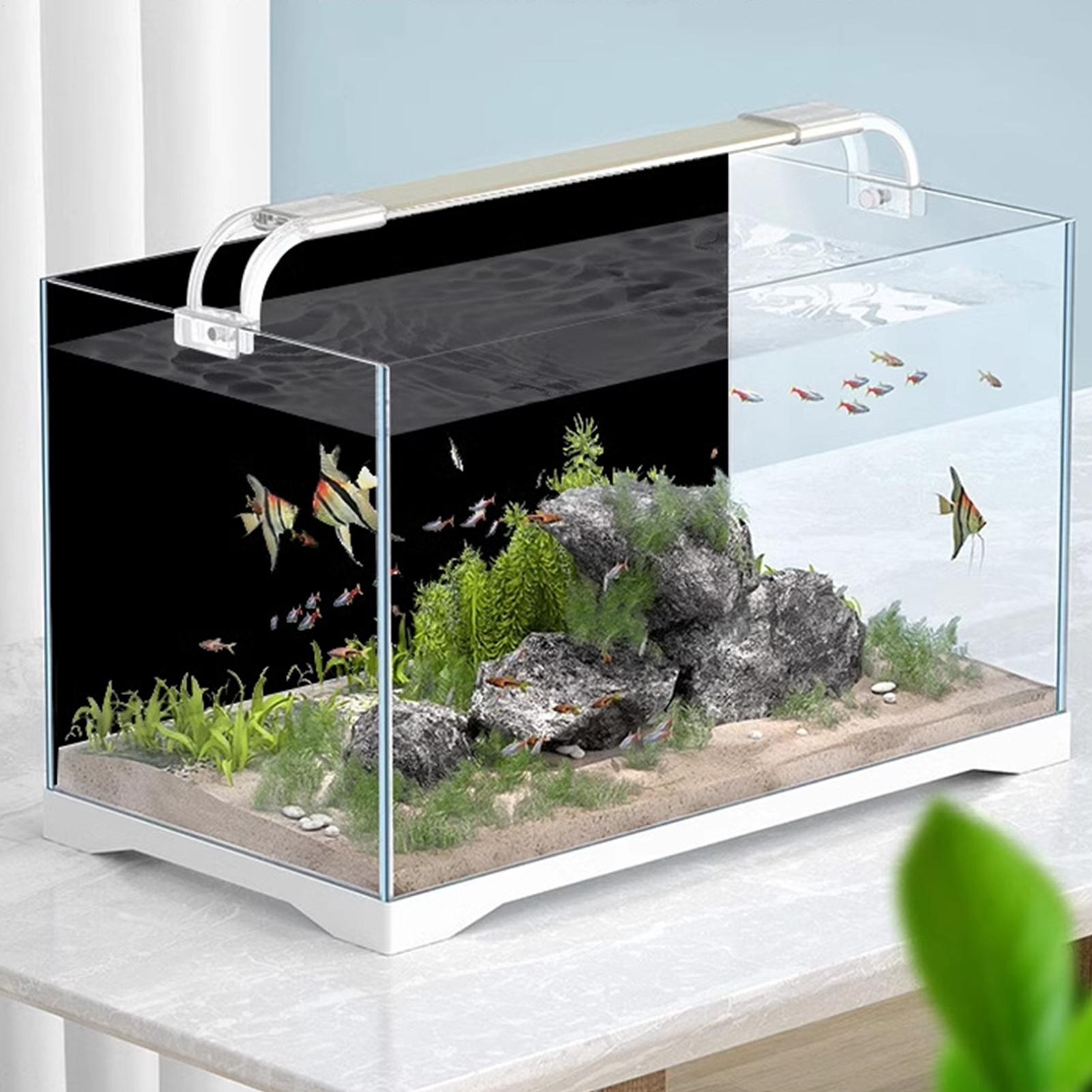 Black Aquarium Background Pict - Fish In Aquarium Picture recension och pris