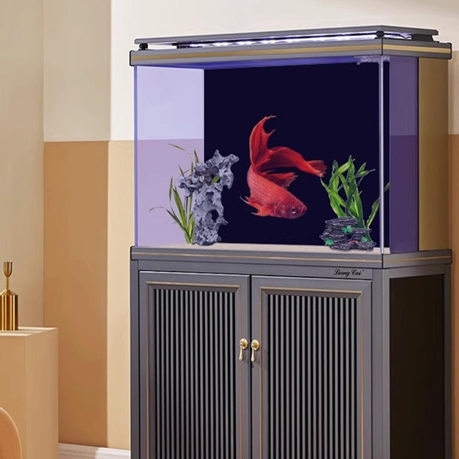 Black Aquarium Background Pict - Fish In Aquarium Picture recension och pris