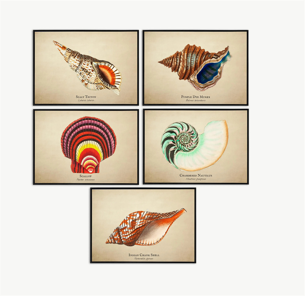 Vintage Pictures Tropical Fish - Fish In Aquarium Picture recension och pris