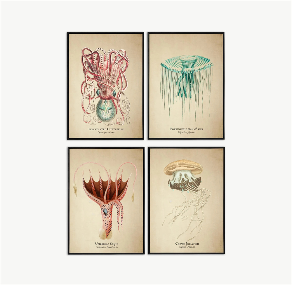 Vintage Pictures Tropical Fish - Fish In Aquarium Picture recension och pris