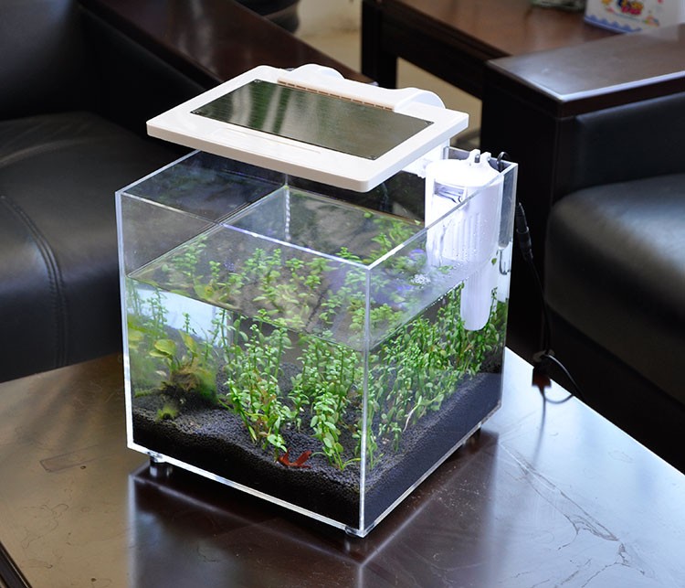 Mini Acrylic (25*25*25cm) Sale - Aquarium Fish For Sale recension och pris
