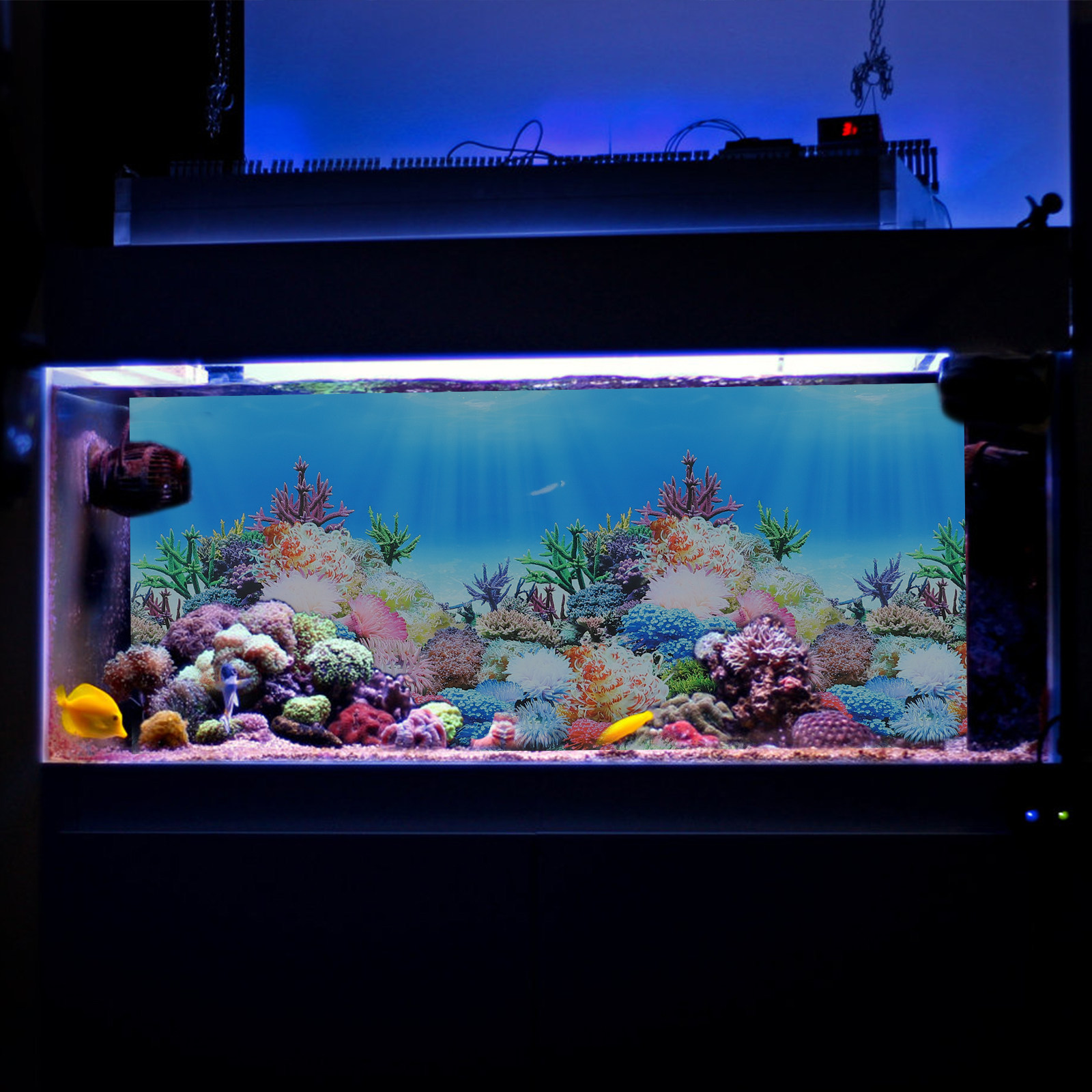 Fish Tank Aquarium Decor Backg - Fish In Aquarium Picture recension och pris