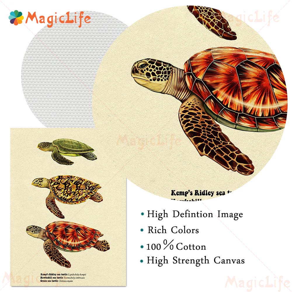 Vintage Sea Fish Tortoise Shar - Fish In Aquarium Picture recension och pris