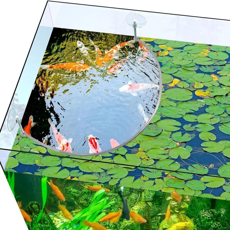Floating Plant Corral Fish Fee - Aquarium Fish Store recension och pris