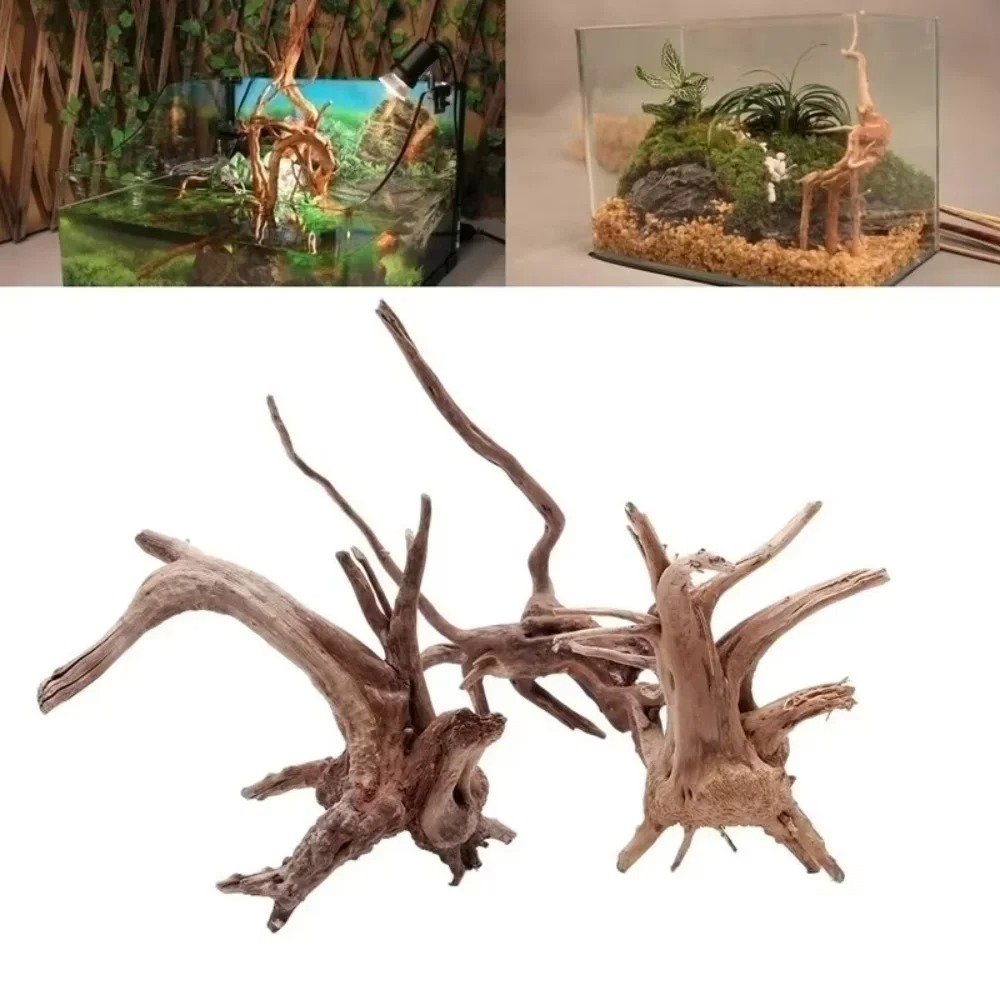 （15-20cm） Natural Driftwood Aq - Aquarium Fish Farm recension och pris