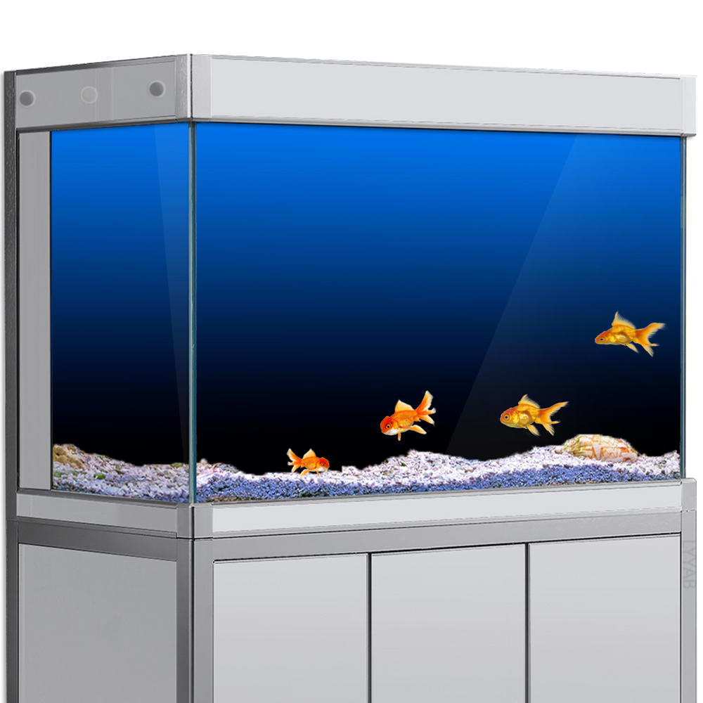 Fish Tank Background Sticker B - Aquarium Fish Black recension och pris