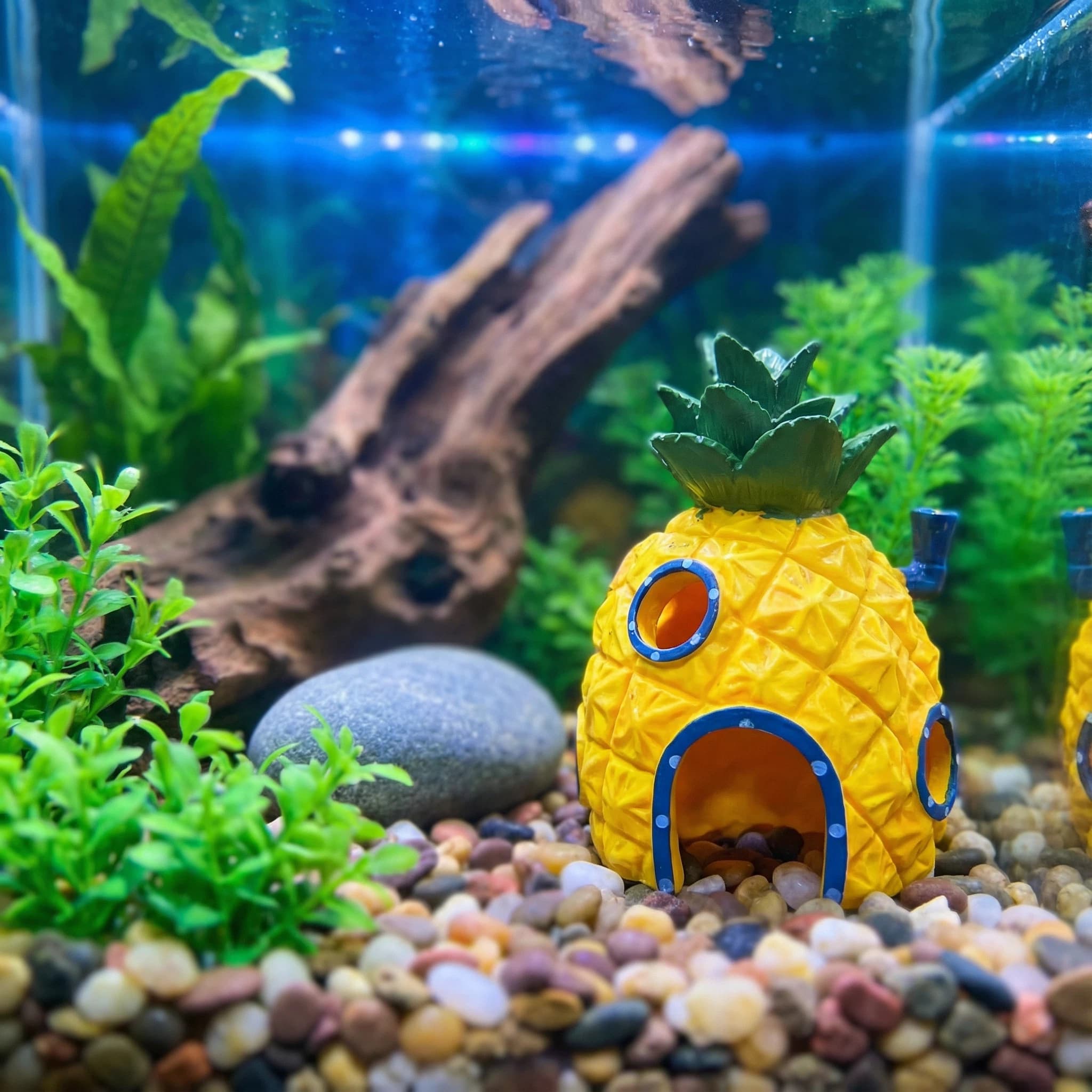 Pineapple House Aquarium Decor - Aquarium Fish Cave recension och pris