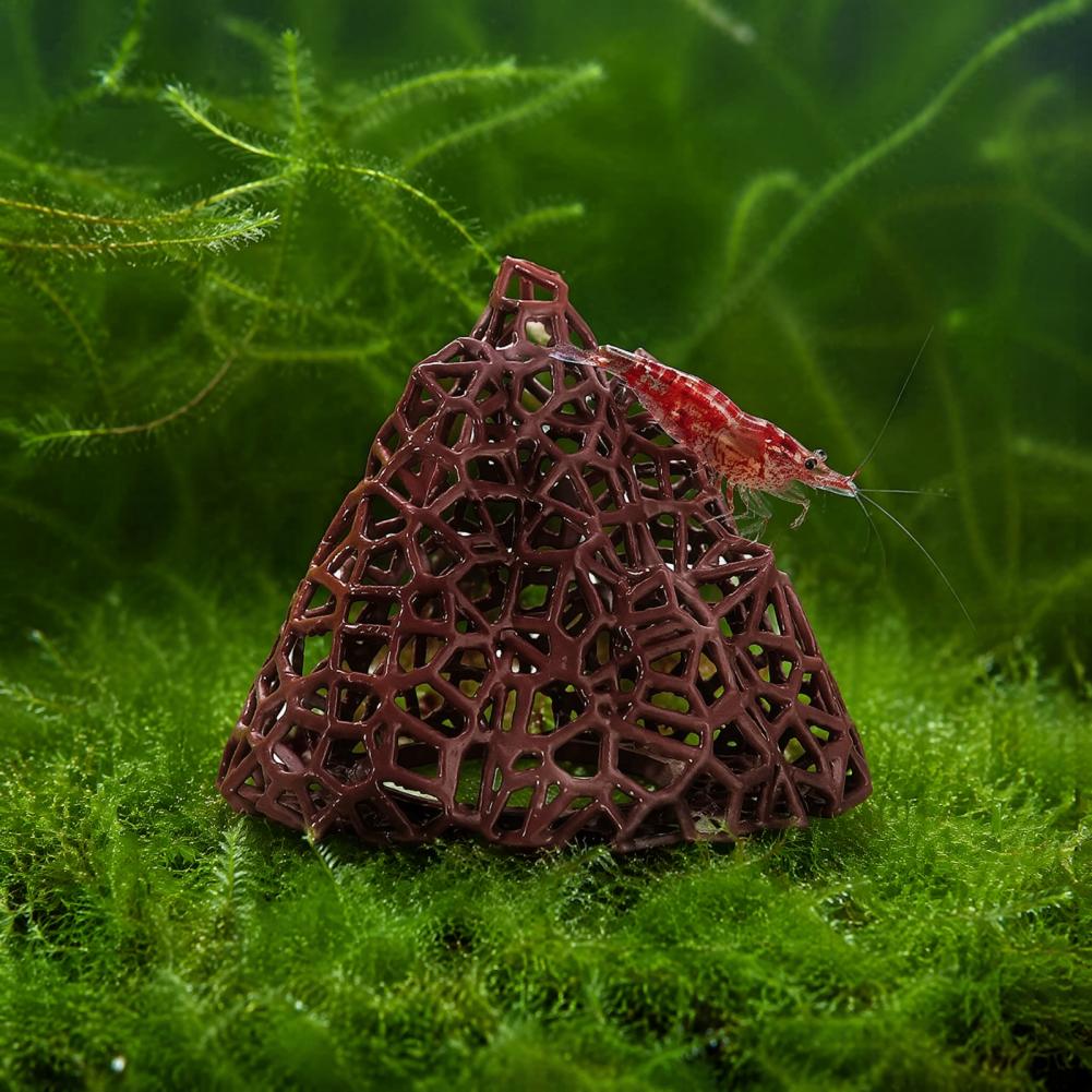 Aquatic Landscape Ornament Aqu - Fish In Aquarium Picture recension och pris