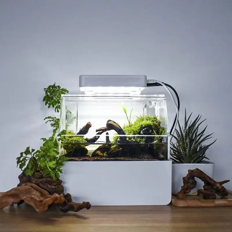 Relaxlines Custom Desktop Aqua - Aquarium Fish For Sale recension och pris