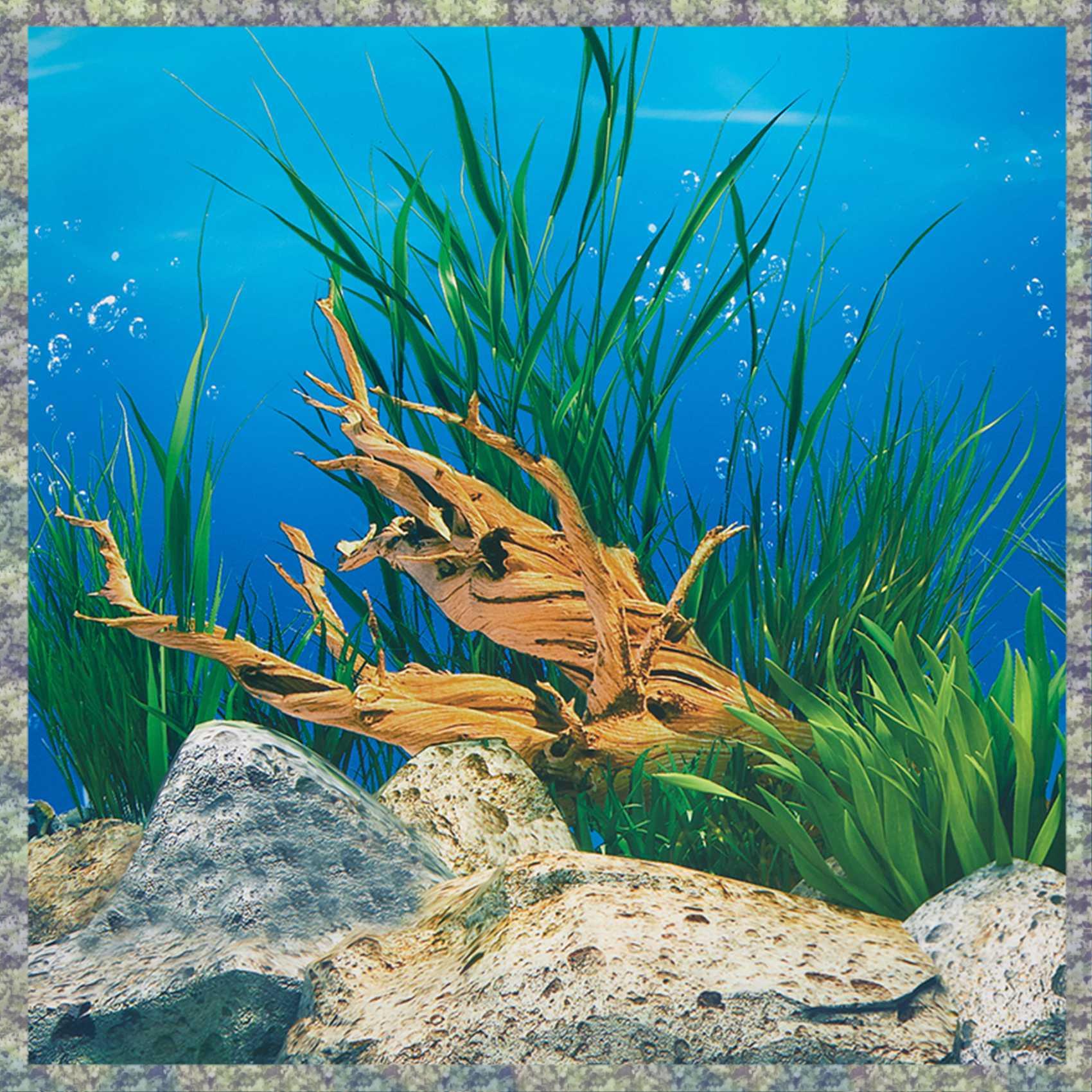 WON Aquarium Background Paper  - Fish In Aquarium Picture recension och pris