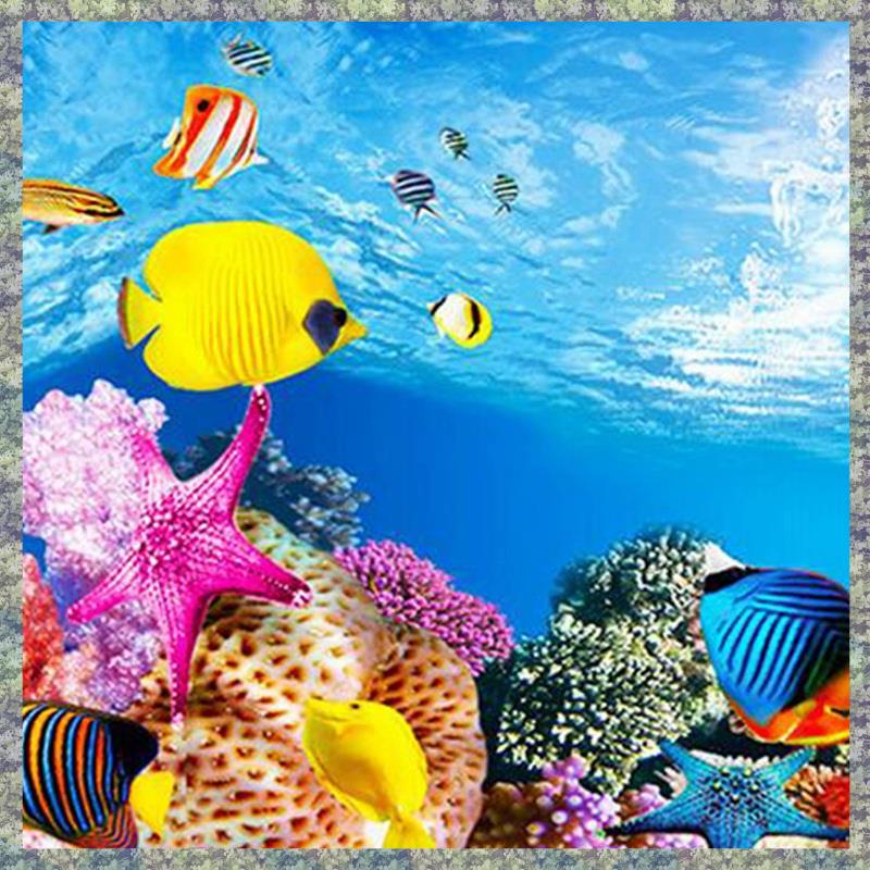 WON Aquarium Background Paper  - Fish In Aquarium Picture recension och pris